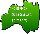 펞SSL̂m点